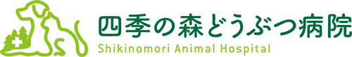 四季の森どうぶつ病院 | 東京都中野区新井の動物病院 | 夜間救急 | ペットホテル